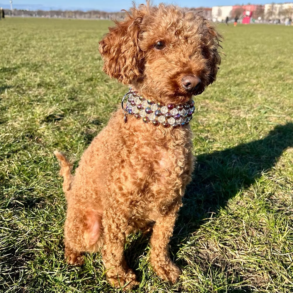 Collier pour chien en perles - Ninidog