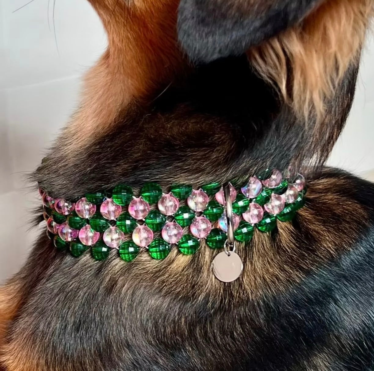 Collier pour chien en perles - Ninidog