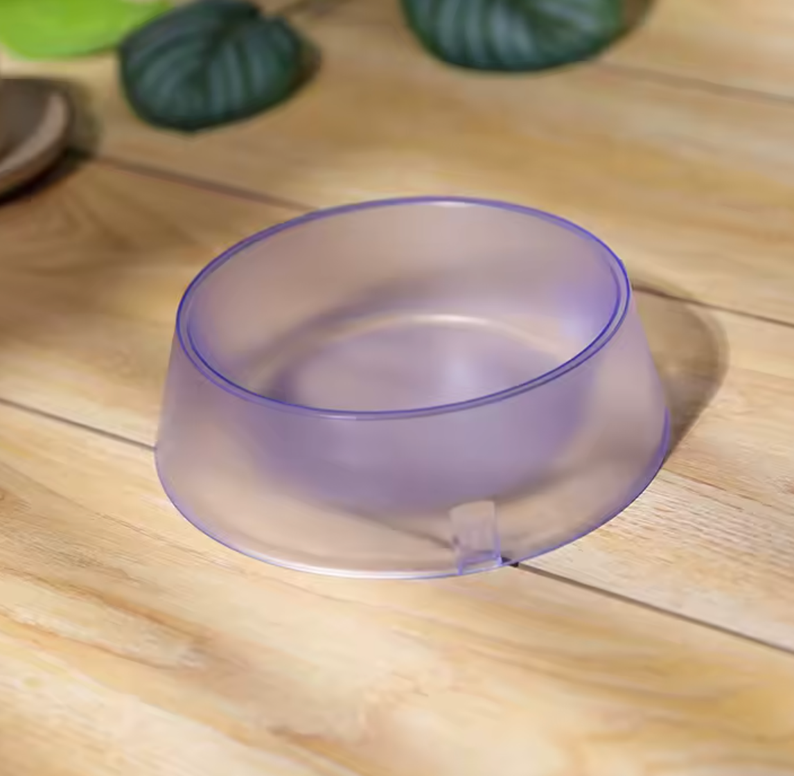 Gamelle transparente