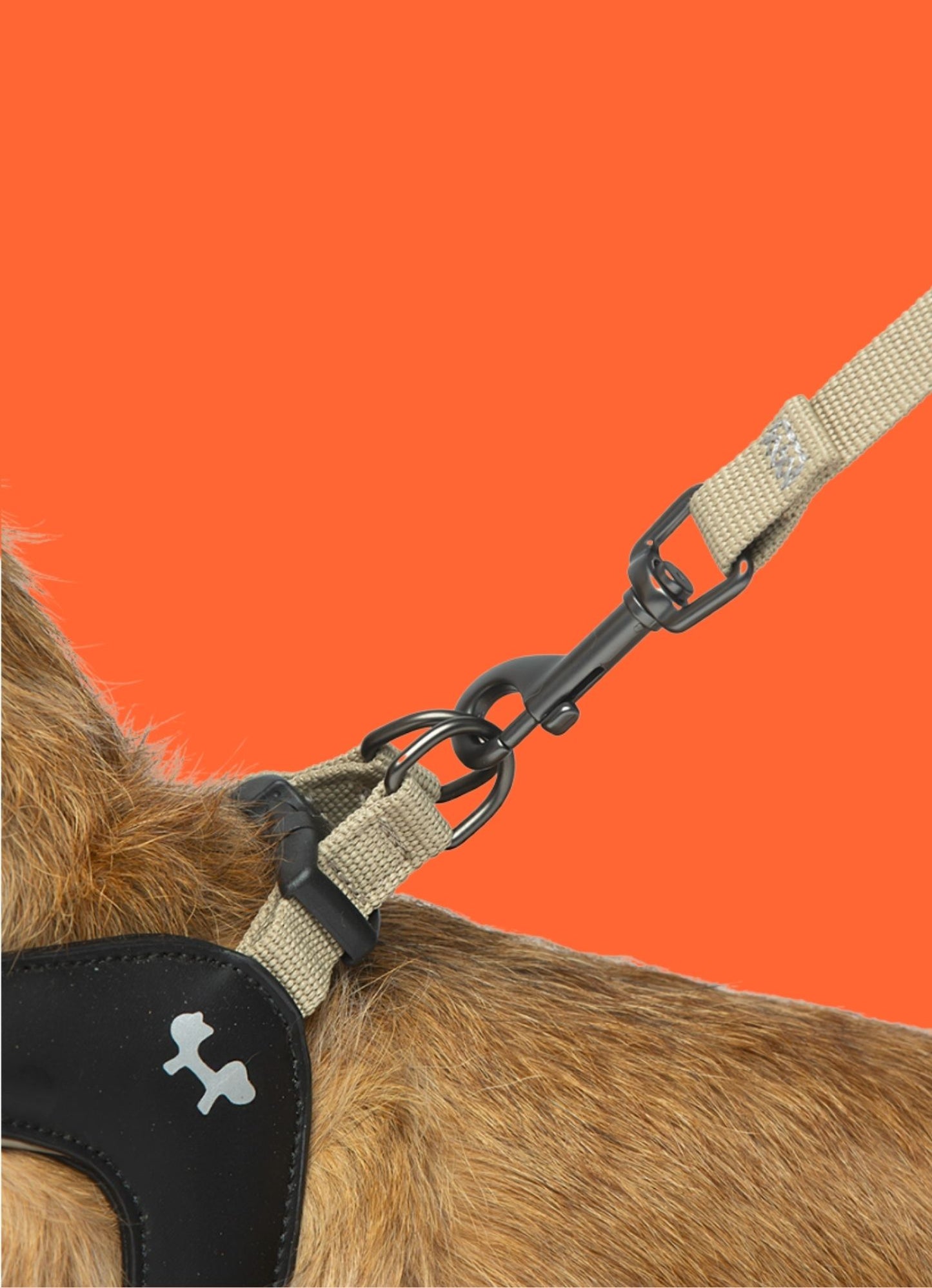 Laisse rembourrée en tissu