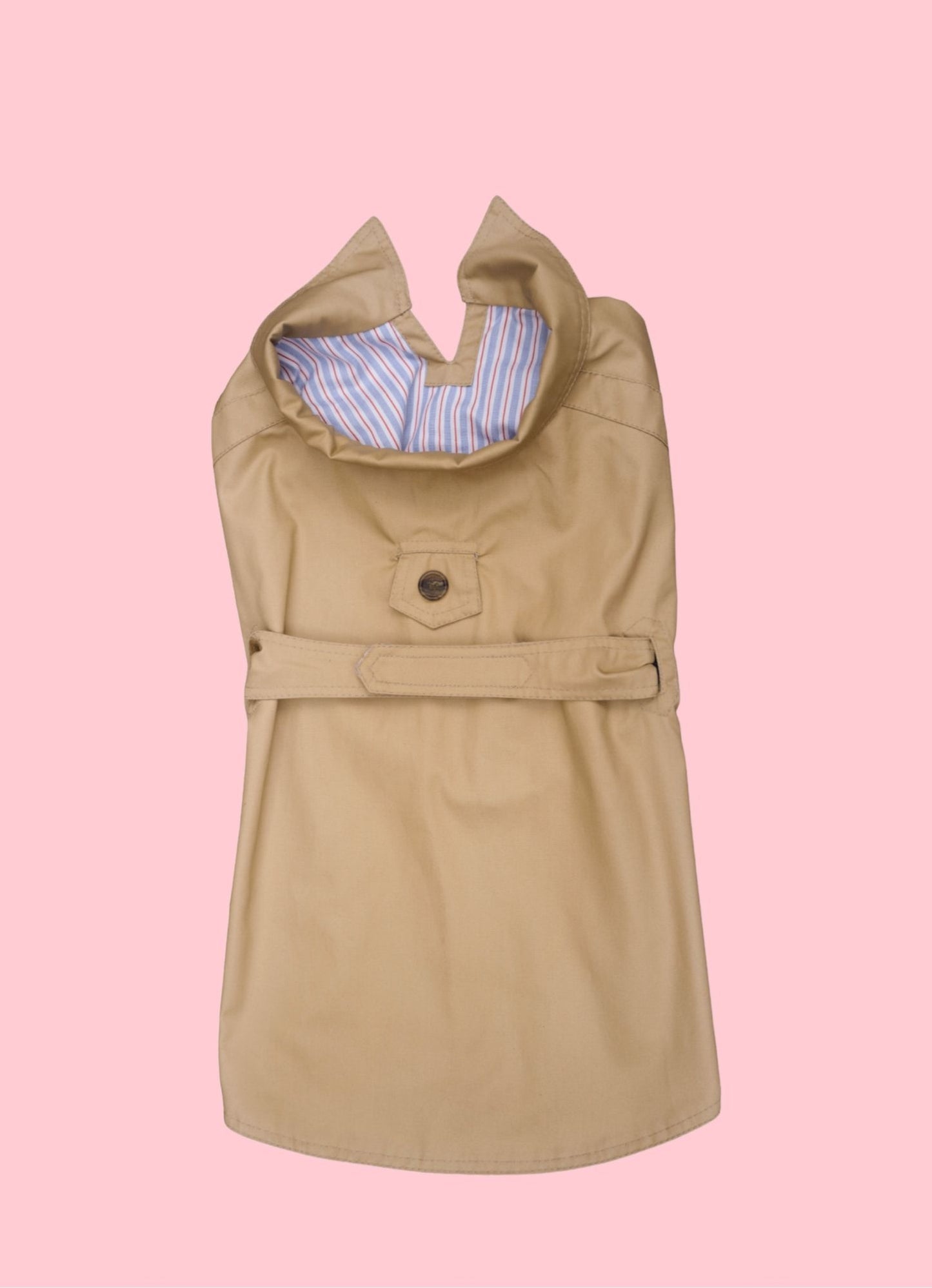 Trench imperméable pour chien