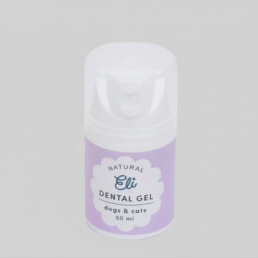 Dentifrice en gel pour chien