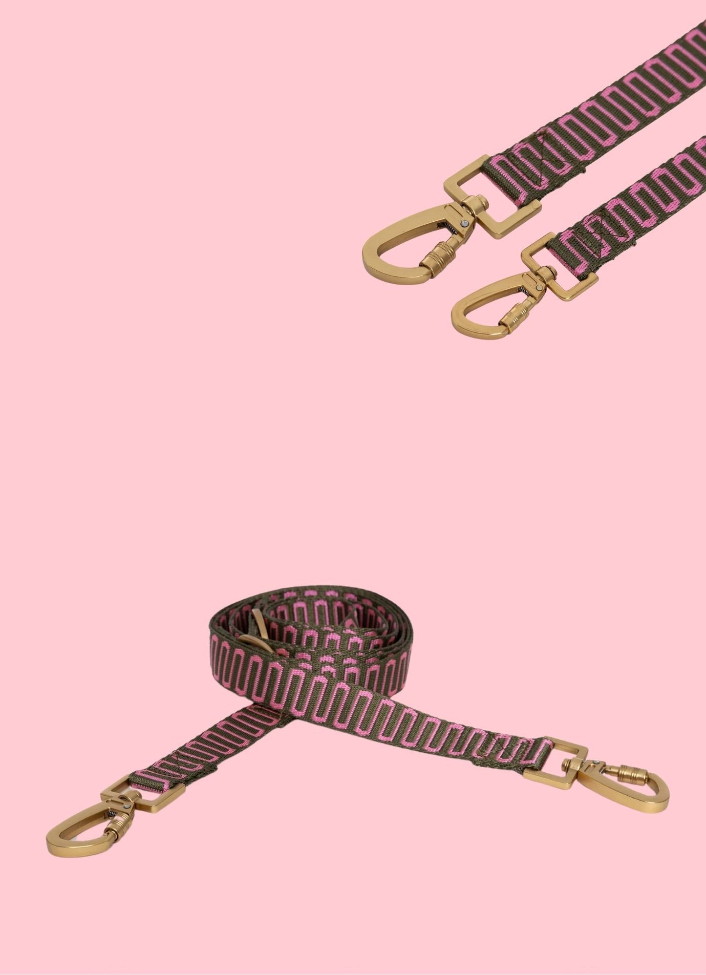 Laisse en nylon