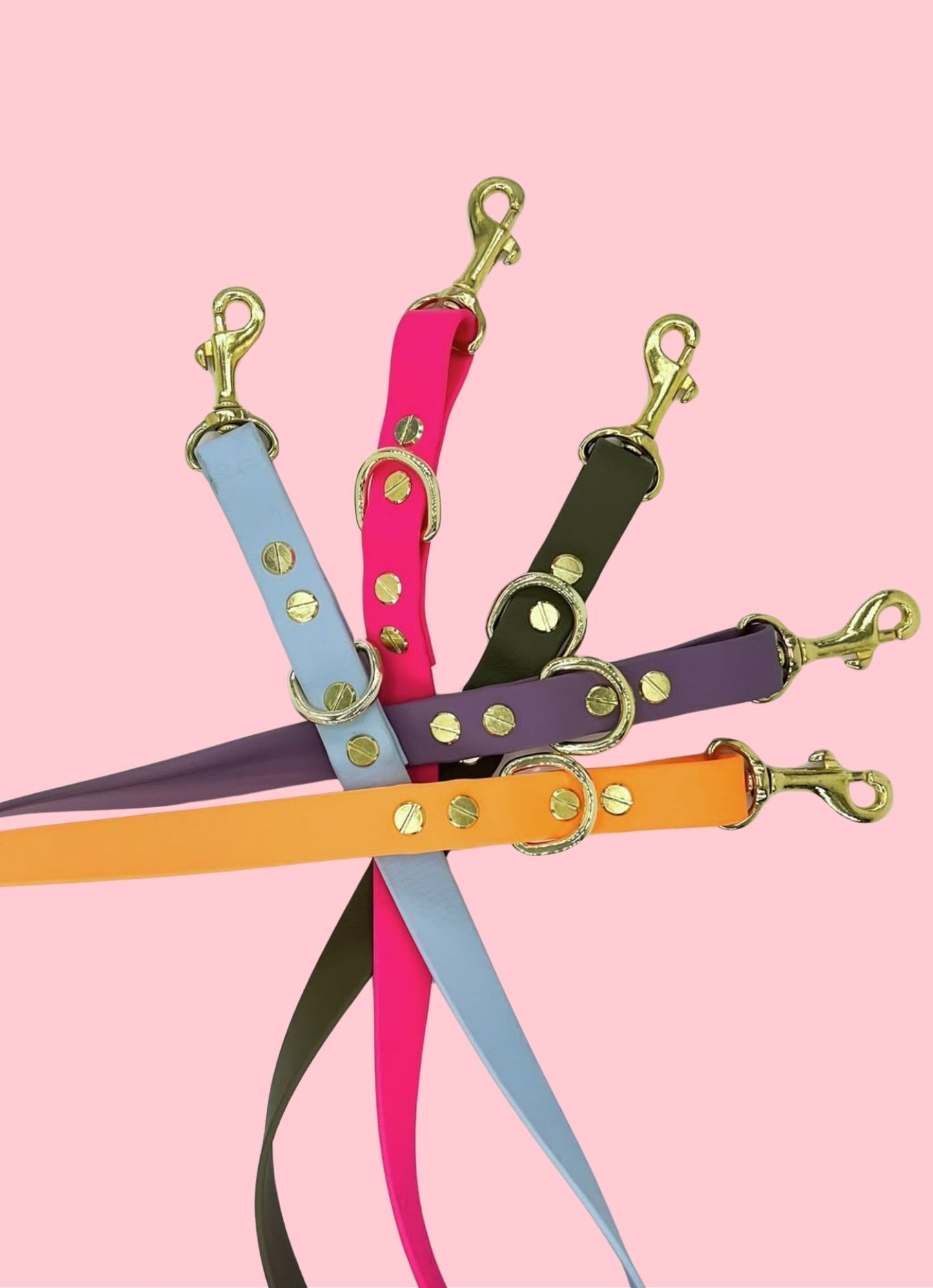Laisse mains-libres en biothane
