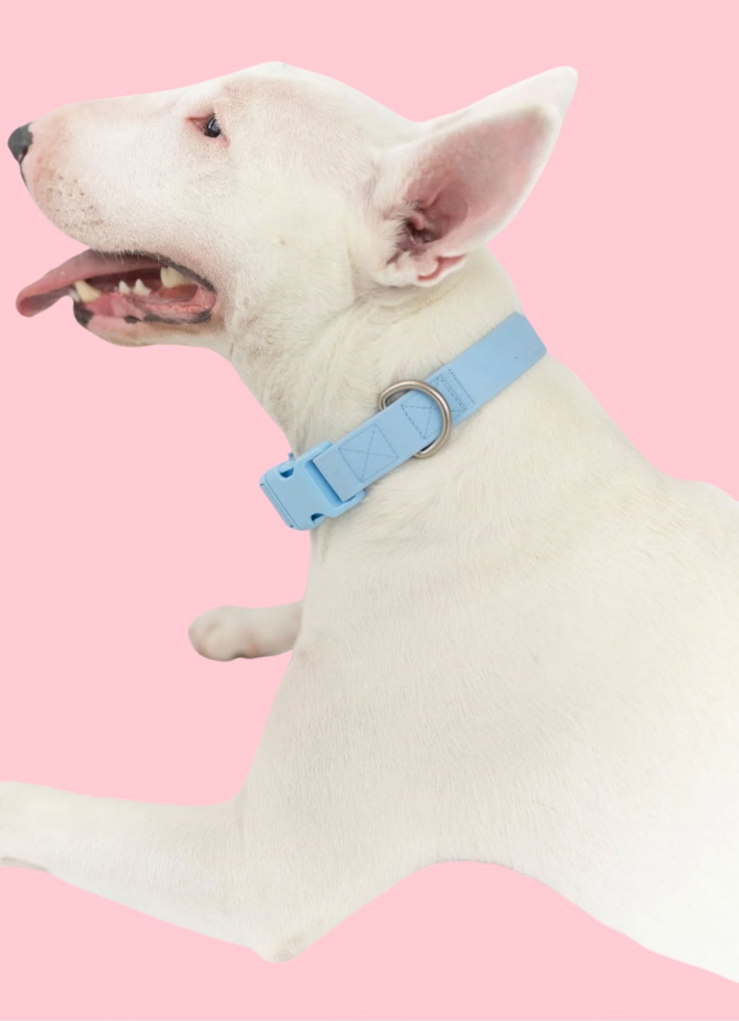 Collier waterproof