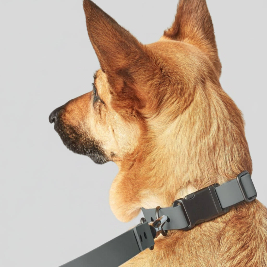 Collier waterproof