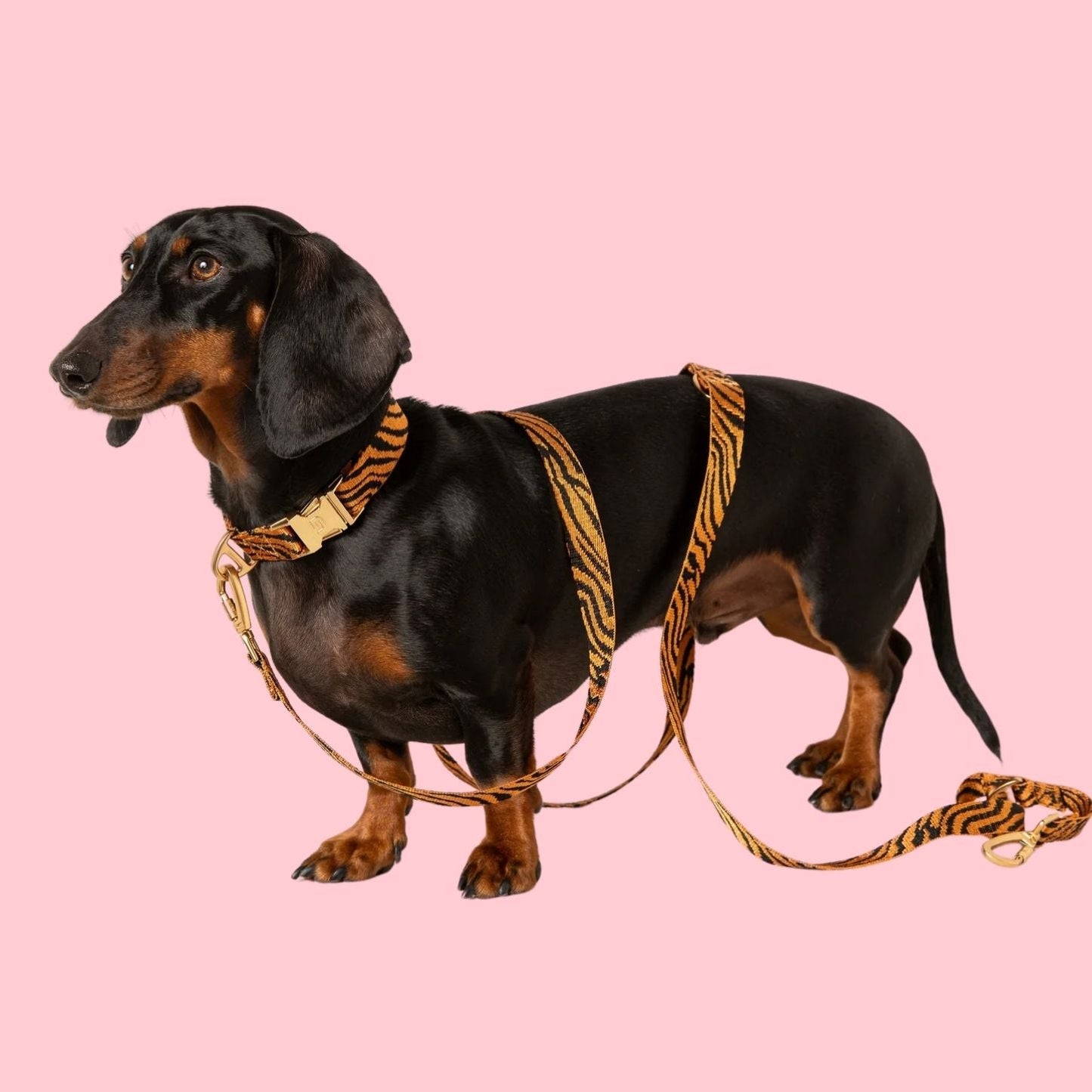 Collier en nylon