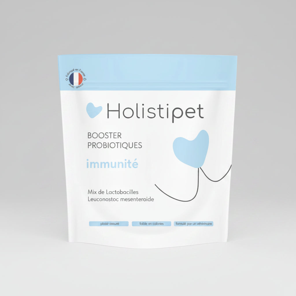 Booster probiotiques immunité