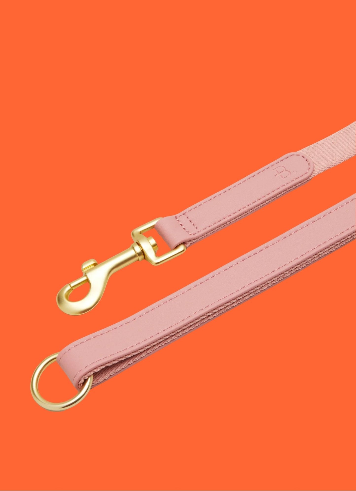 Laisse de marche en cuir et tissu