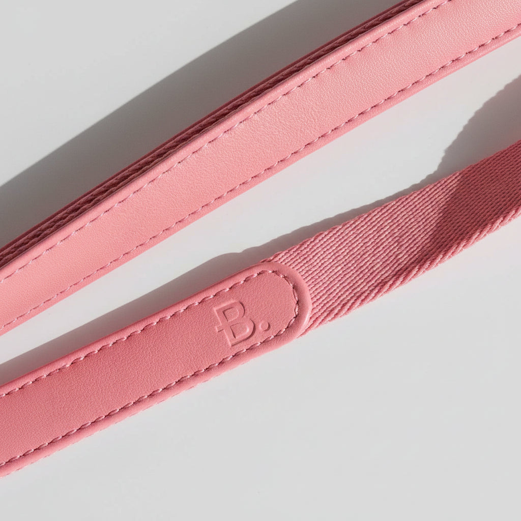 Laisse de marche en cuir et tissu
