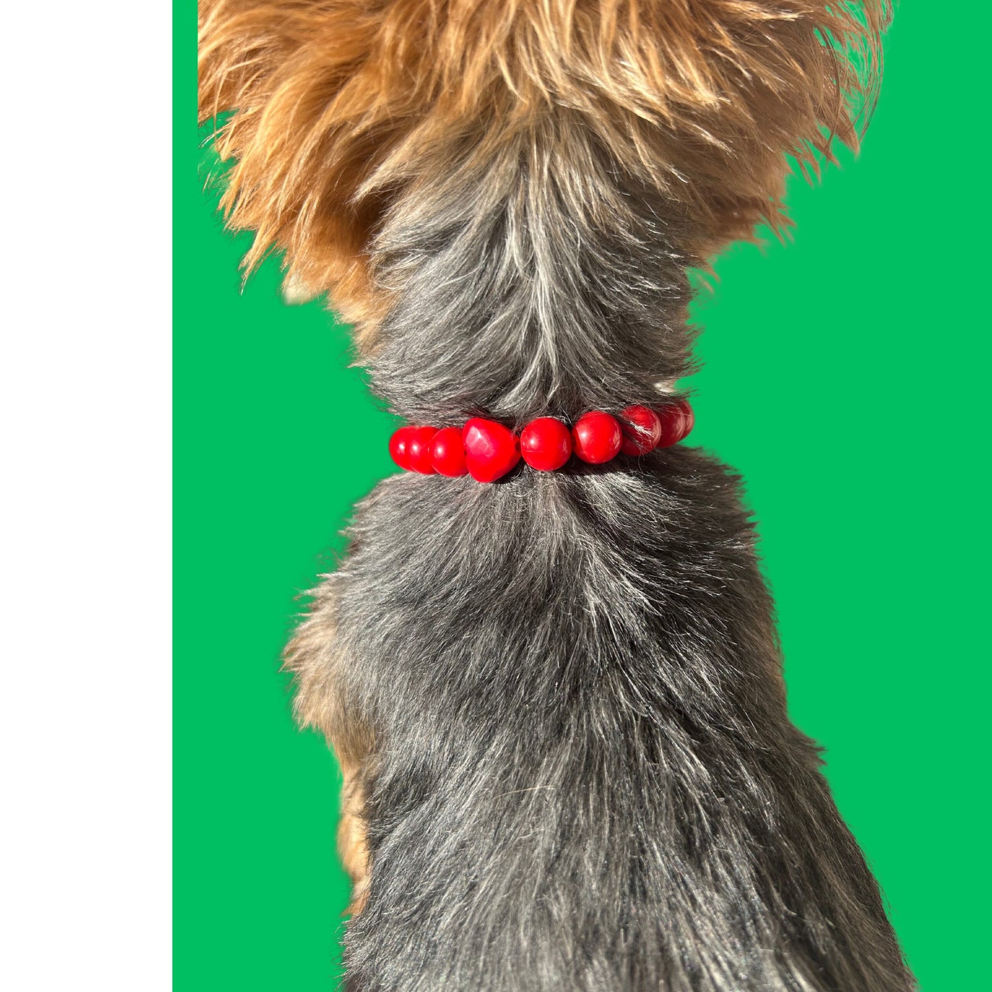 Collier de perles - Shaike & Co