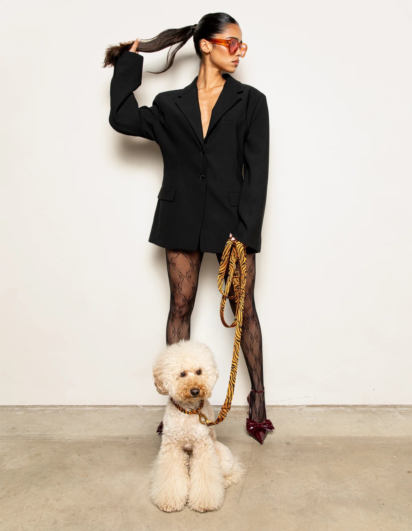 Laisse en nylon