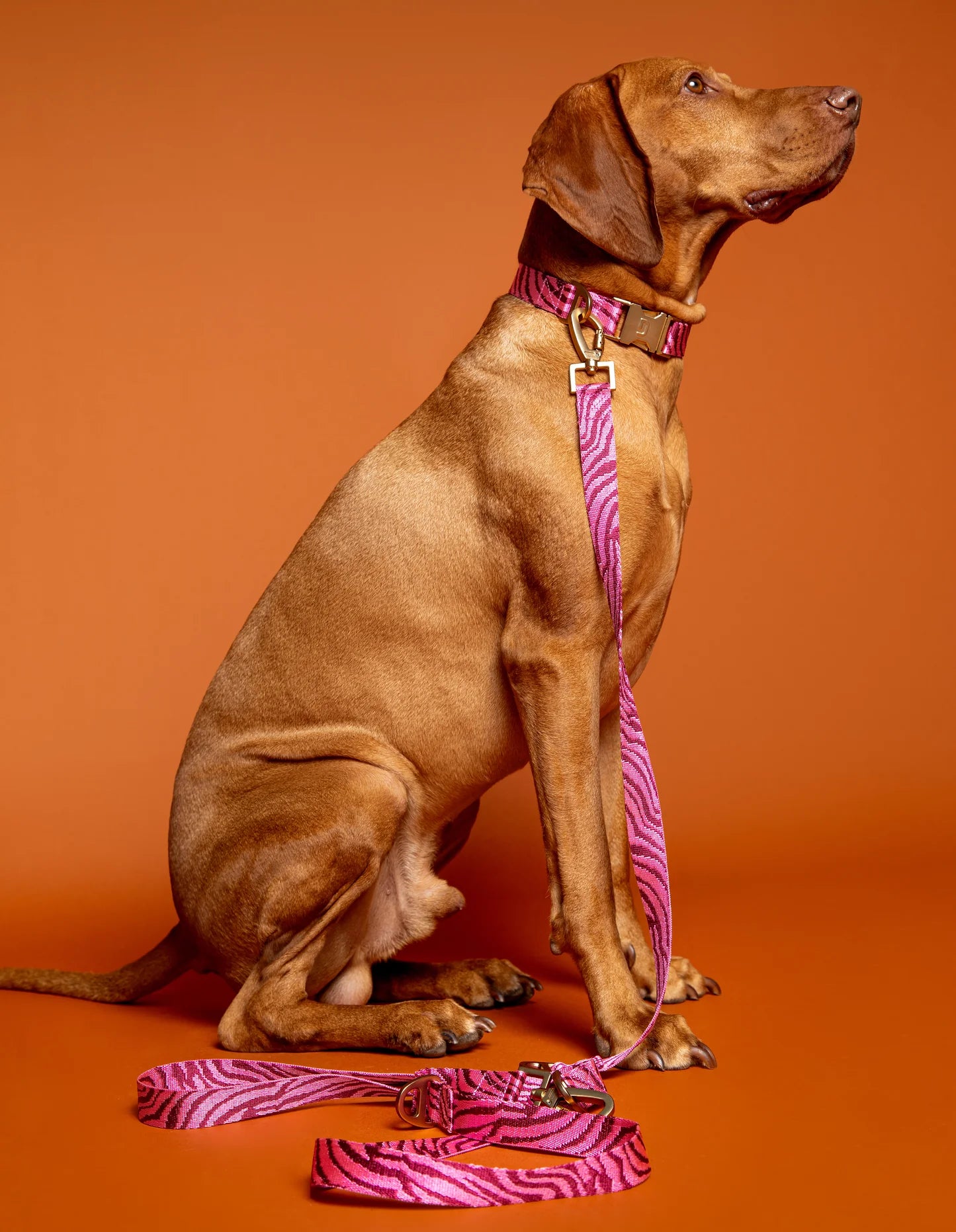 Collier en nylon
