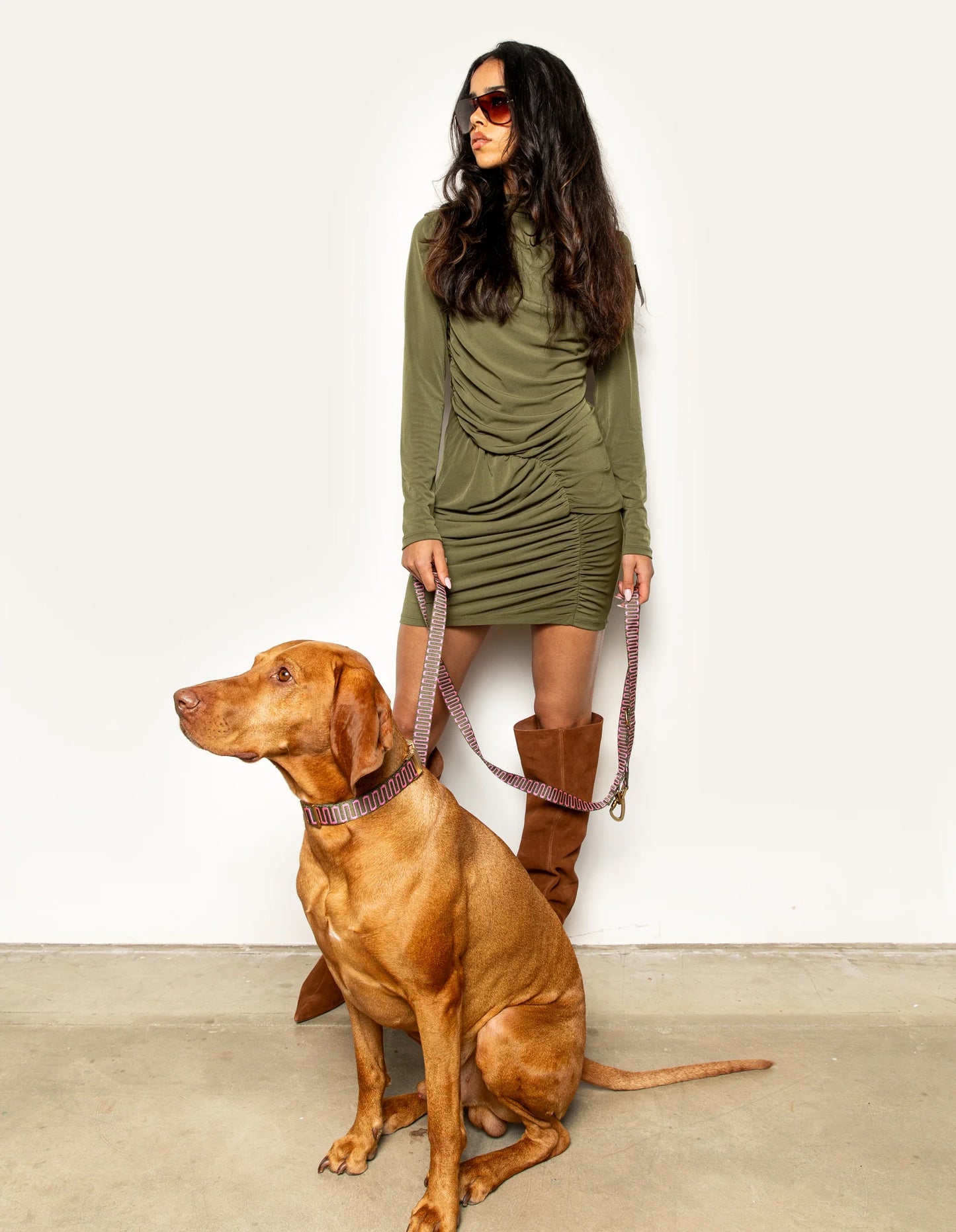 Laisse en nylon