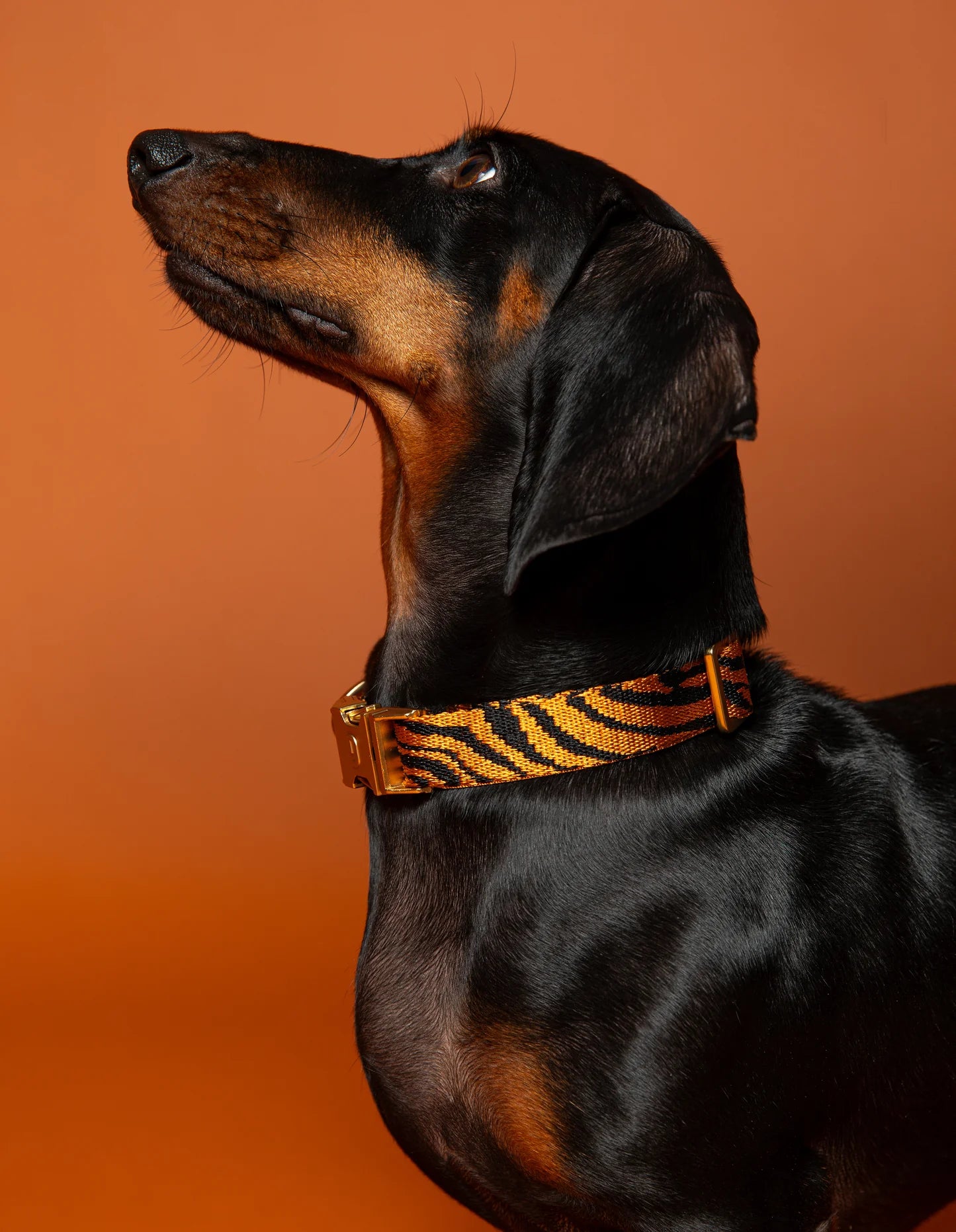 Collier en nylon