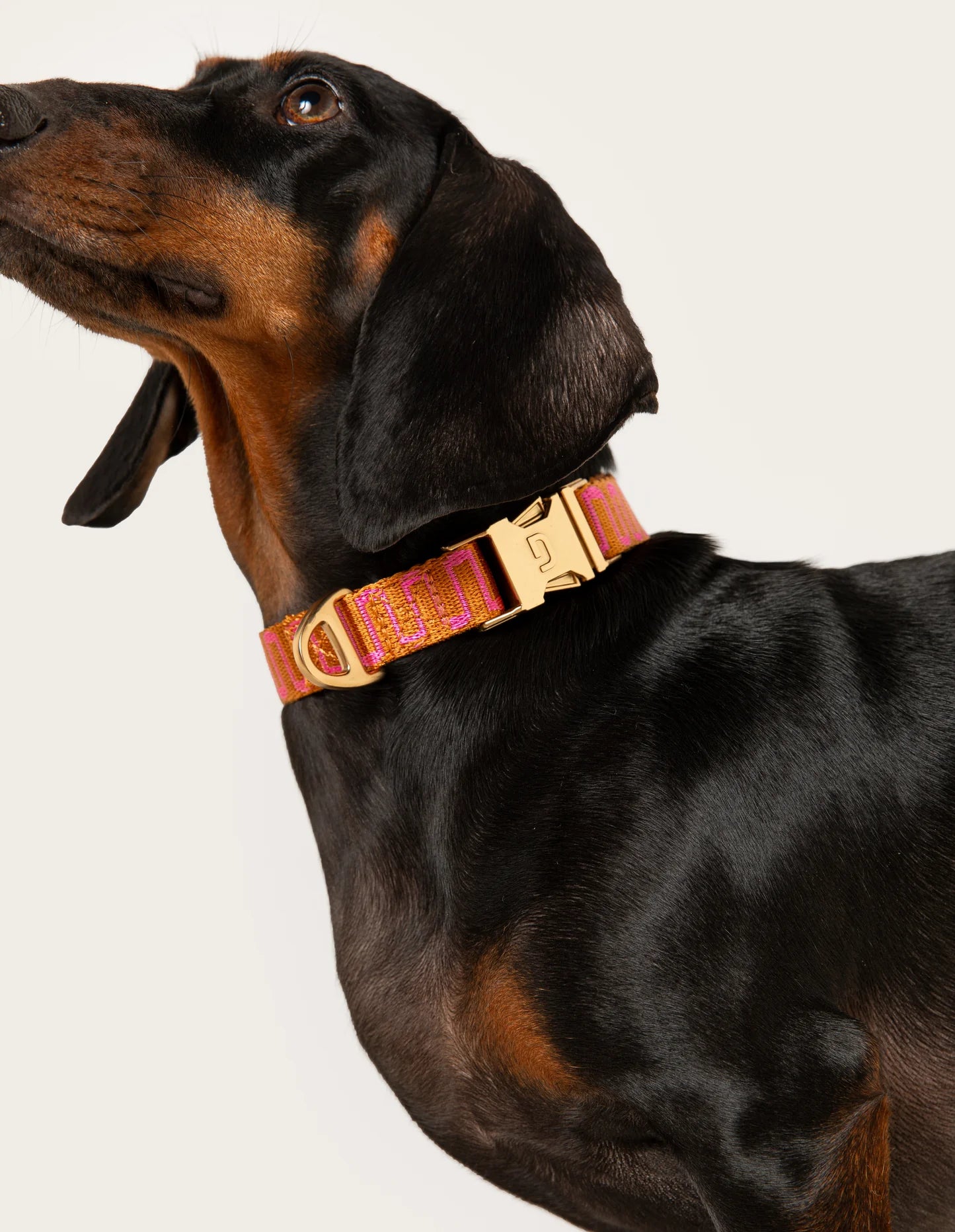 Collier en nylon