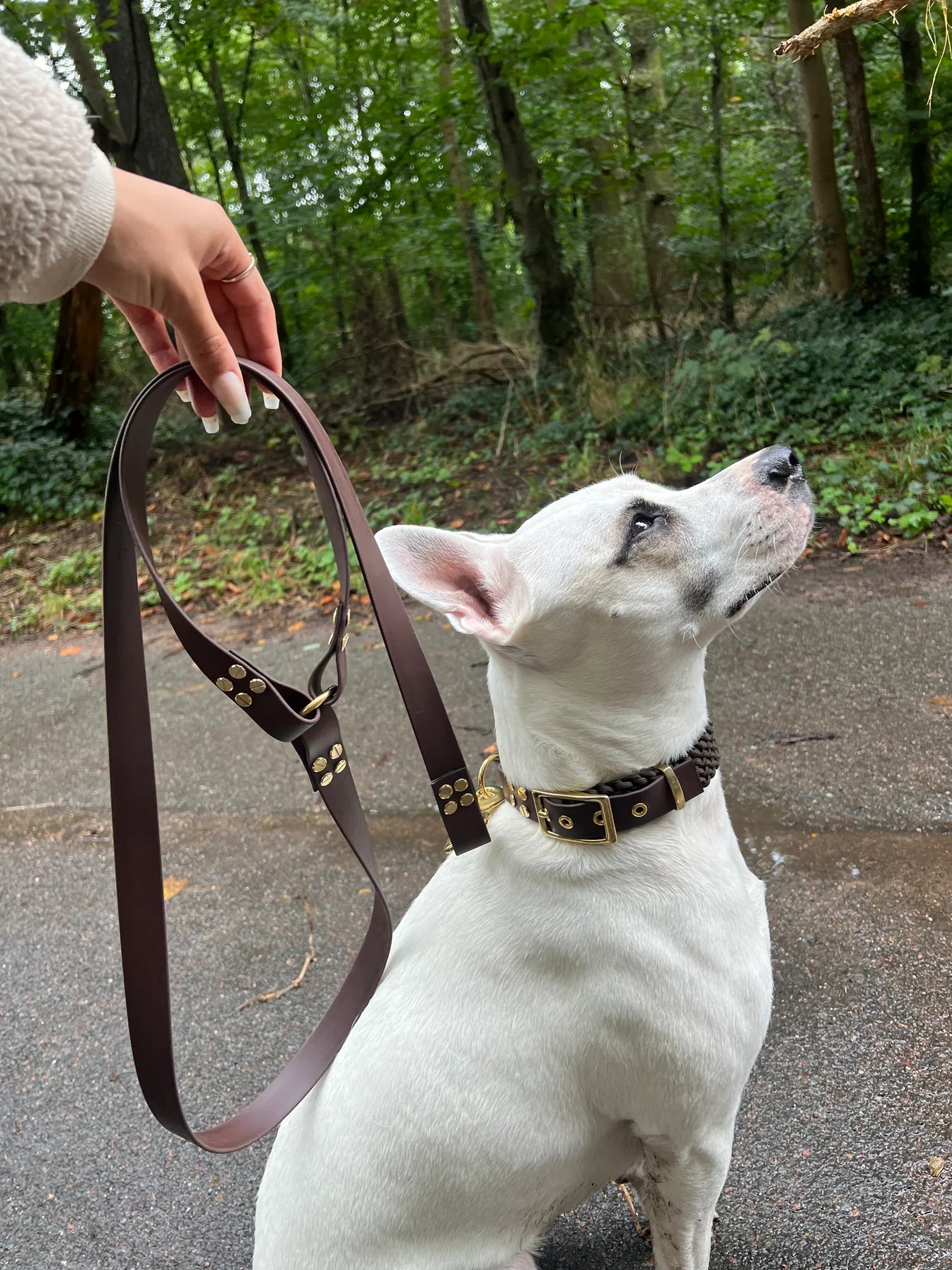 Laisse courte en biothane