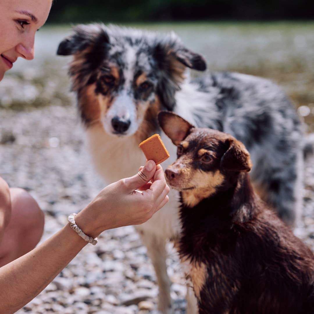 VEGDOG Jerkeys 80 g - friandises carotte et fumée de hêtre pour chiens