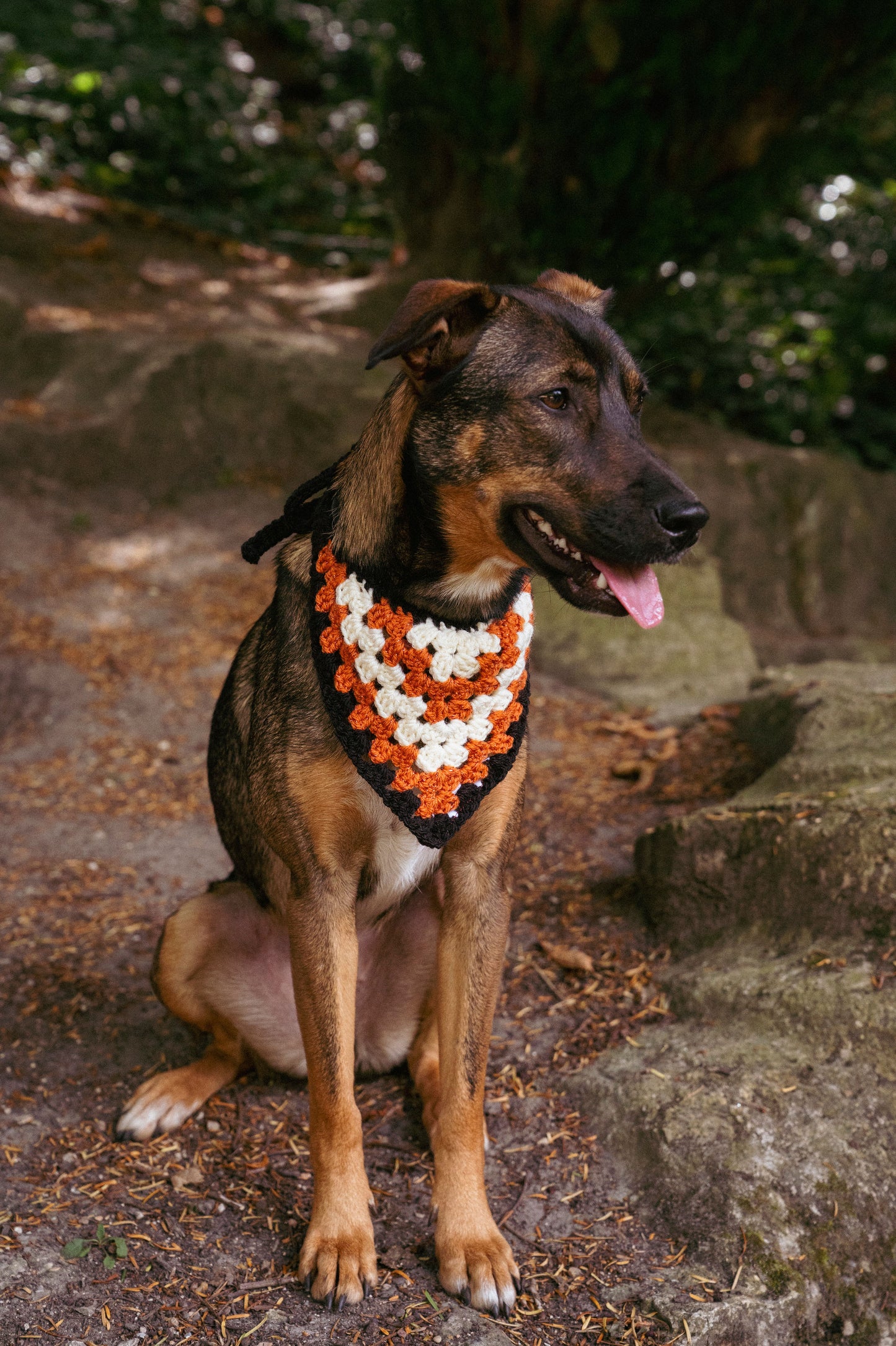 Bandana en crochet - Cayu Canidés Club