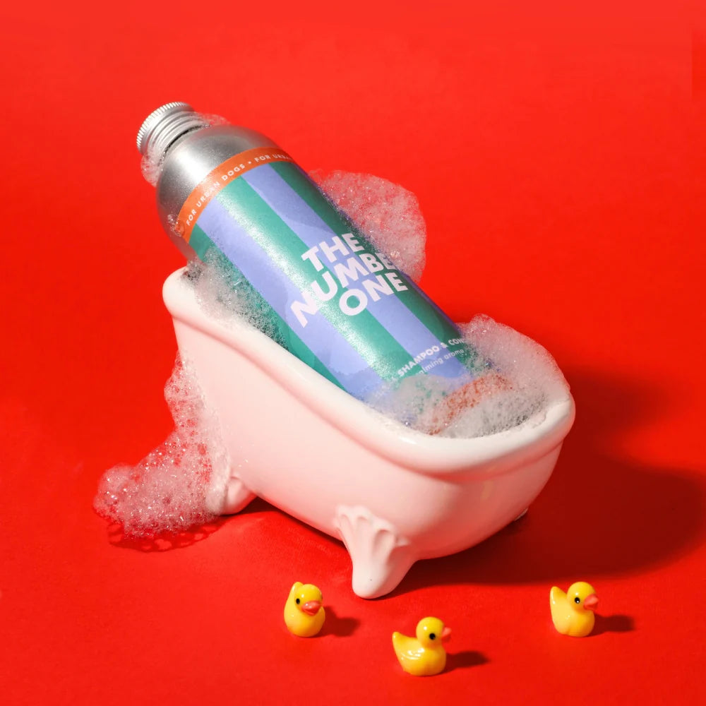 Shampoing après shampoing 2-en-1 The Number One