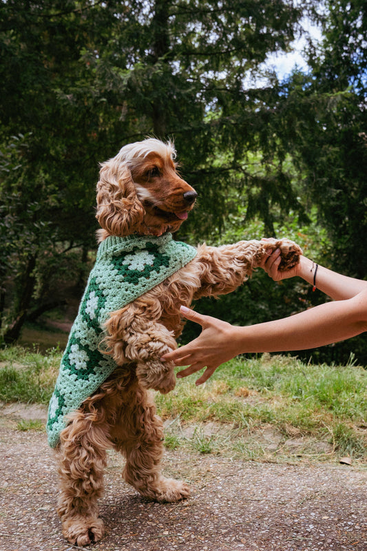 Que faire avec son chien à Paris 19e : balades, parcs et adresses incontournables