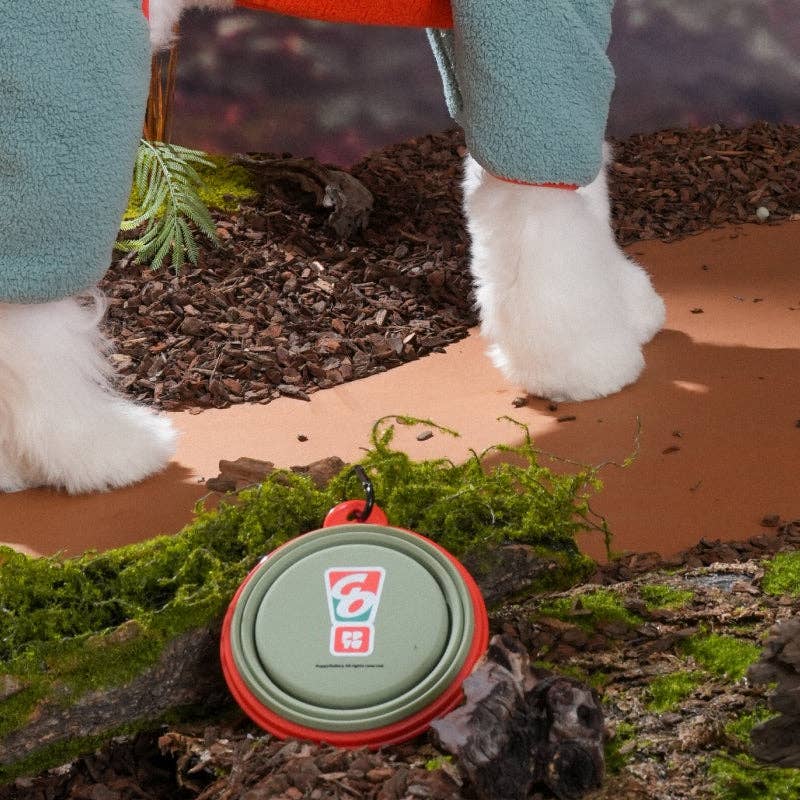 Gamelle portable GO Dog