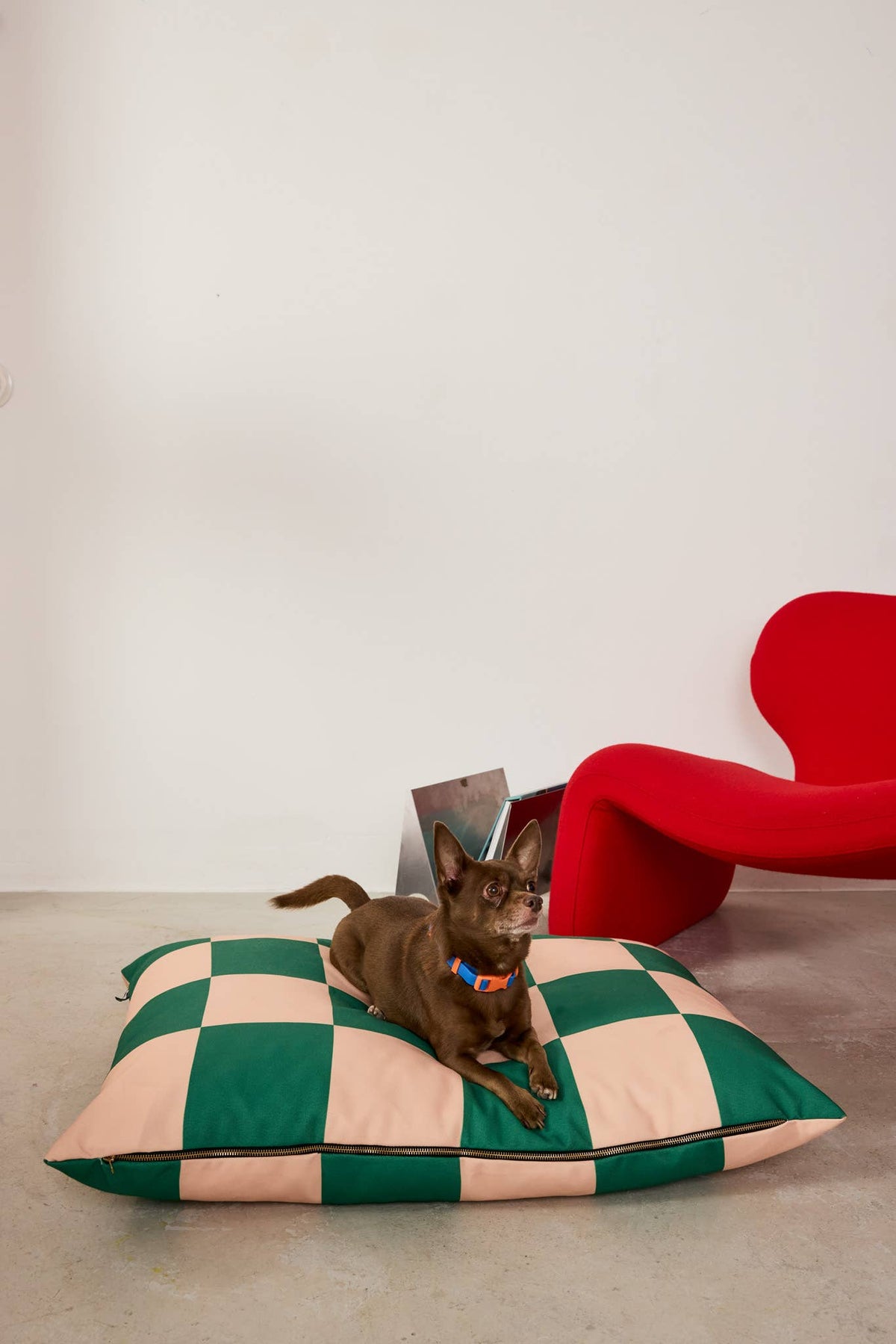 Lit pour chien