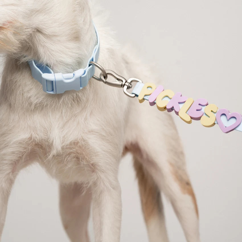 Collier waterproof