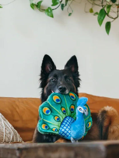 Fetching Flock Collection - Percy the Peacock