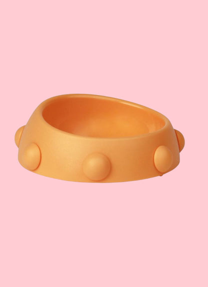 Gamelle boss nano
