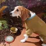 Gamelle portable GO Dog