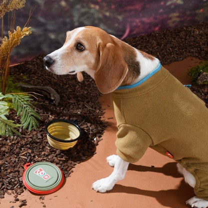 Gamelle portable GO Dog