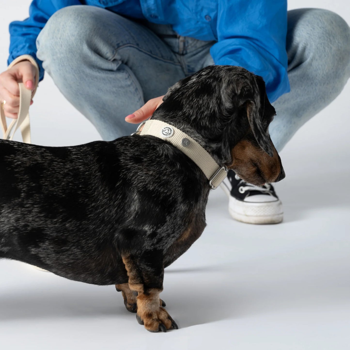 Collier pour chien en tissu