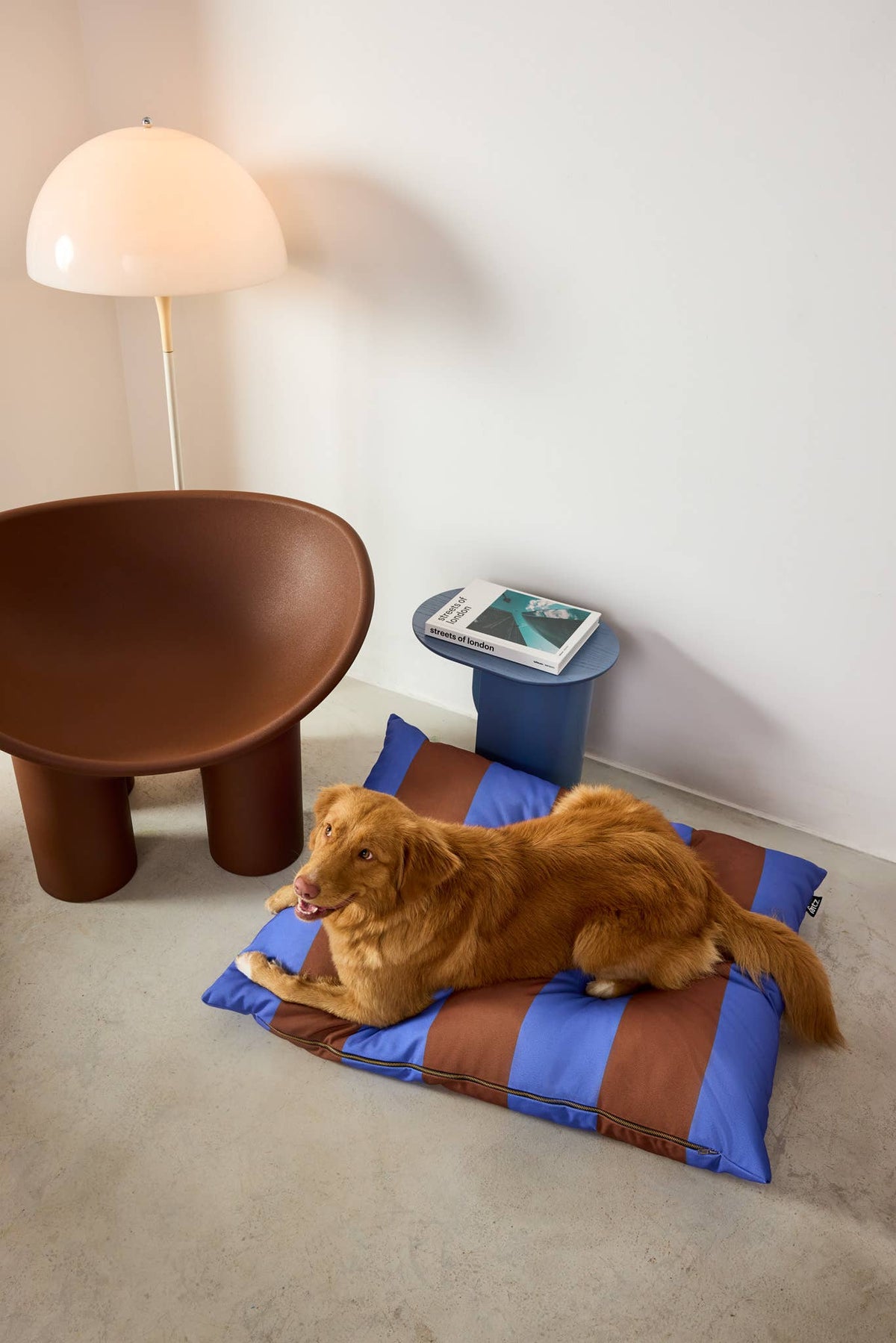 Lit pour chien