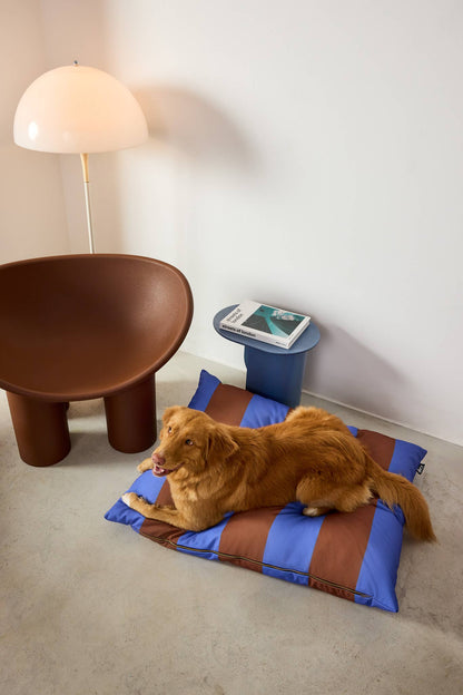 Lit pour chien