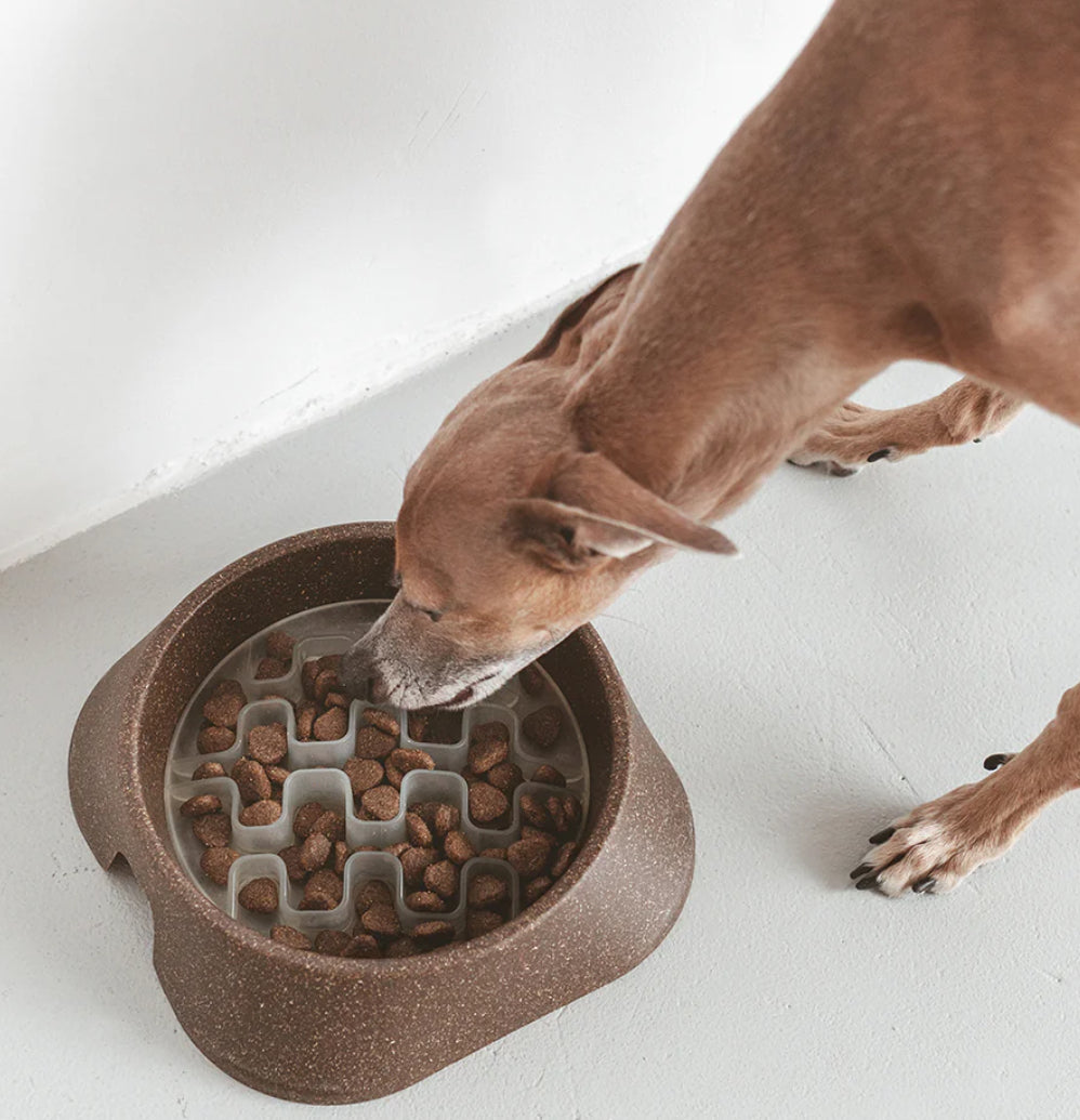 Insert anti-glouton pour chien