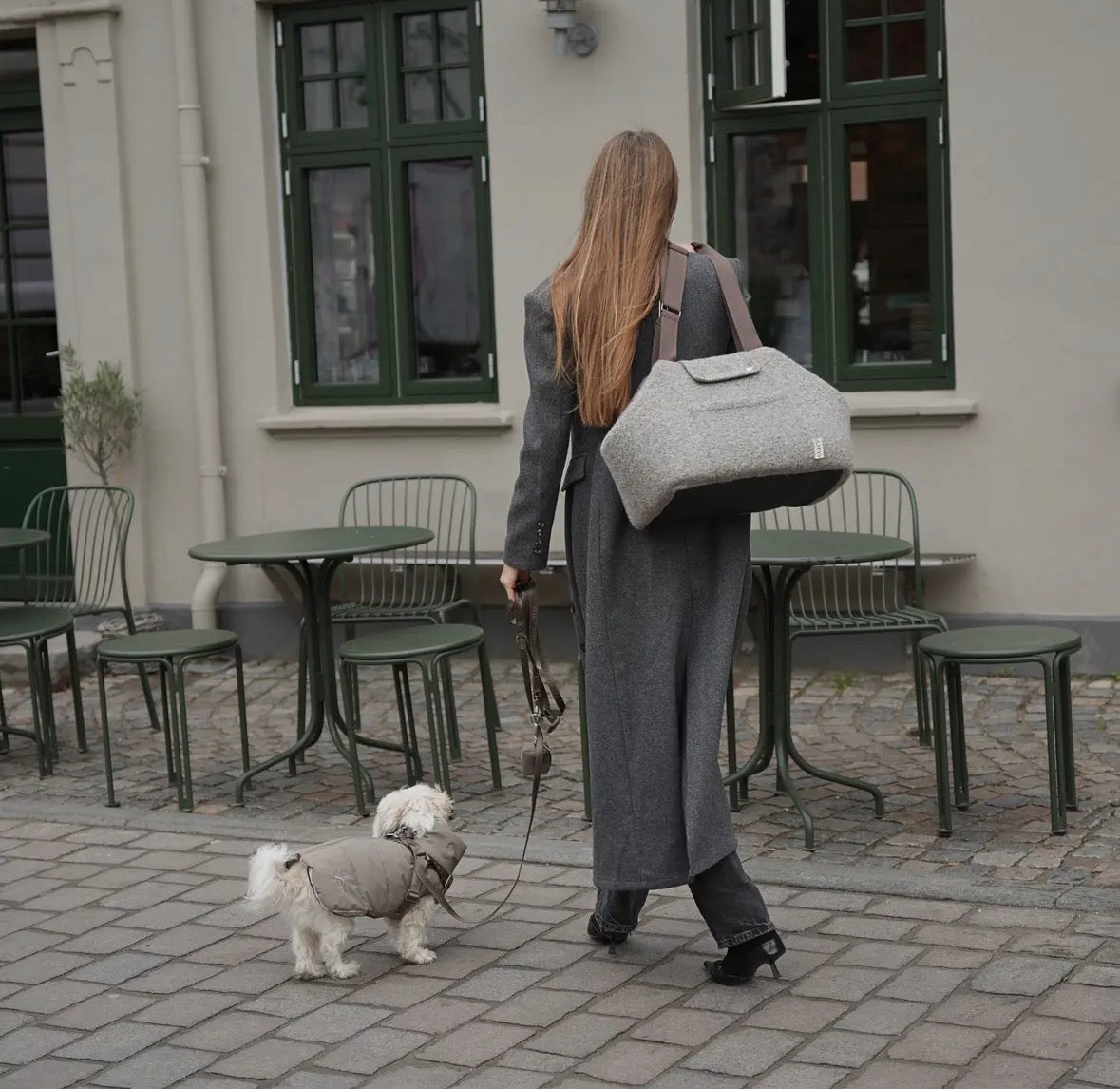 Sac transport chien