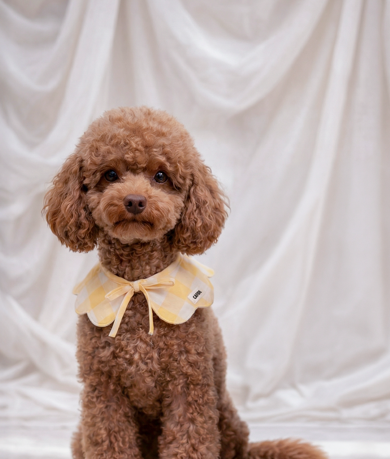 Bandana style collier pour chien motif vichy jaune, Lola