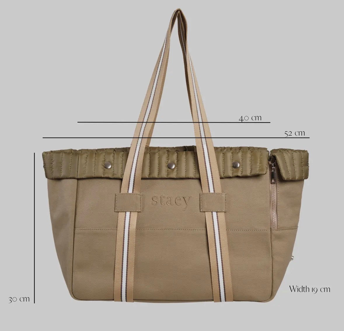 Sac transport chien