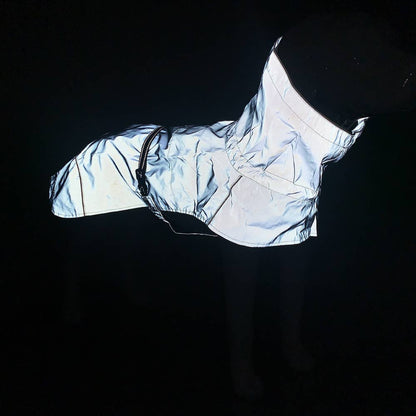 Manteau imperméable de randonnée à haute visibilité