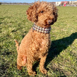 Collier pour chien en perles - Ninidog