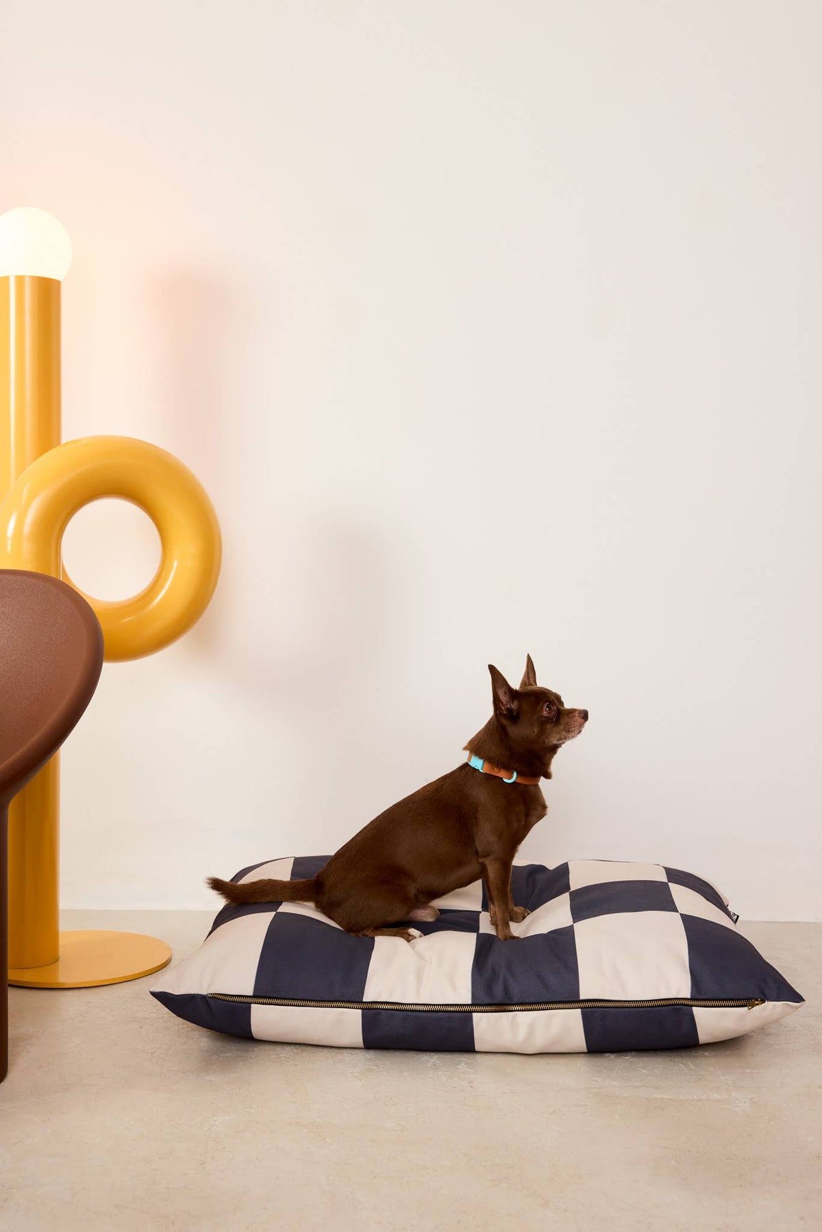 Lit pour chien