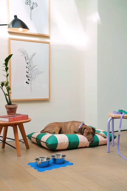 Lit pour chien