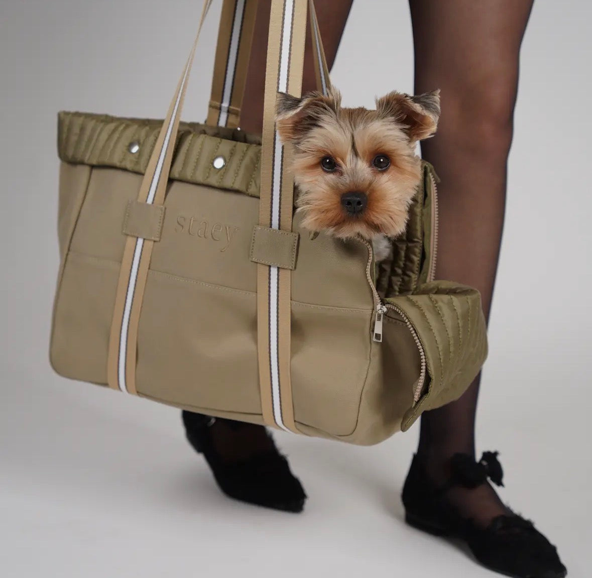 Sac transport chien