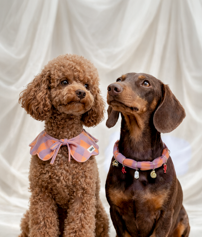 Bandana style collier pour chien motif vichy violet, Lola