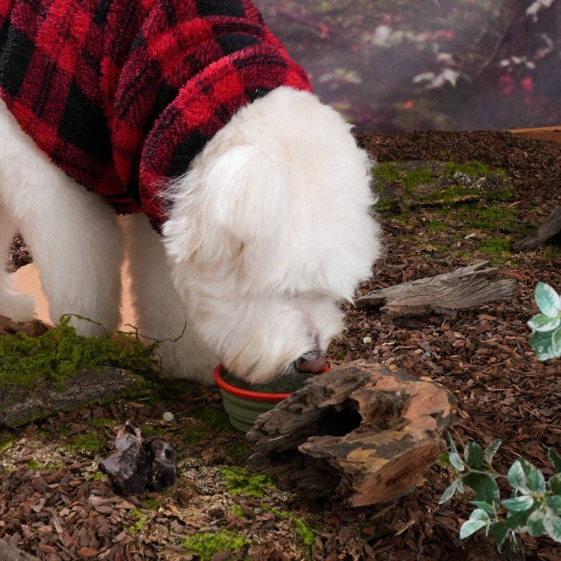Gamelle portable GO Dog