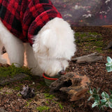 Gamelle portable GO Dog