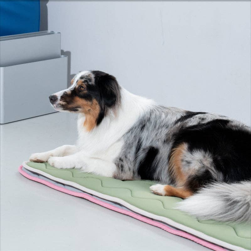 Tapis pour animaux en mousse à mémoire Cool Wave