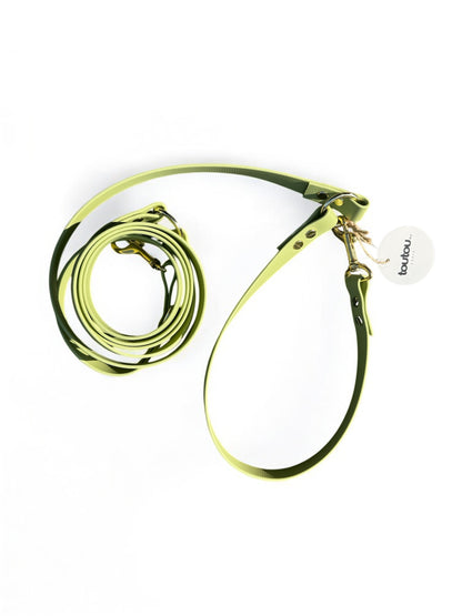 Laisse mains-libres en biothane