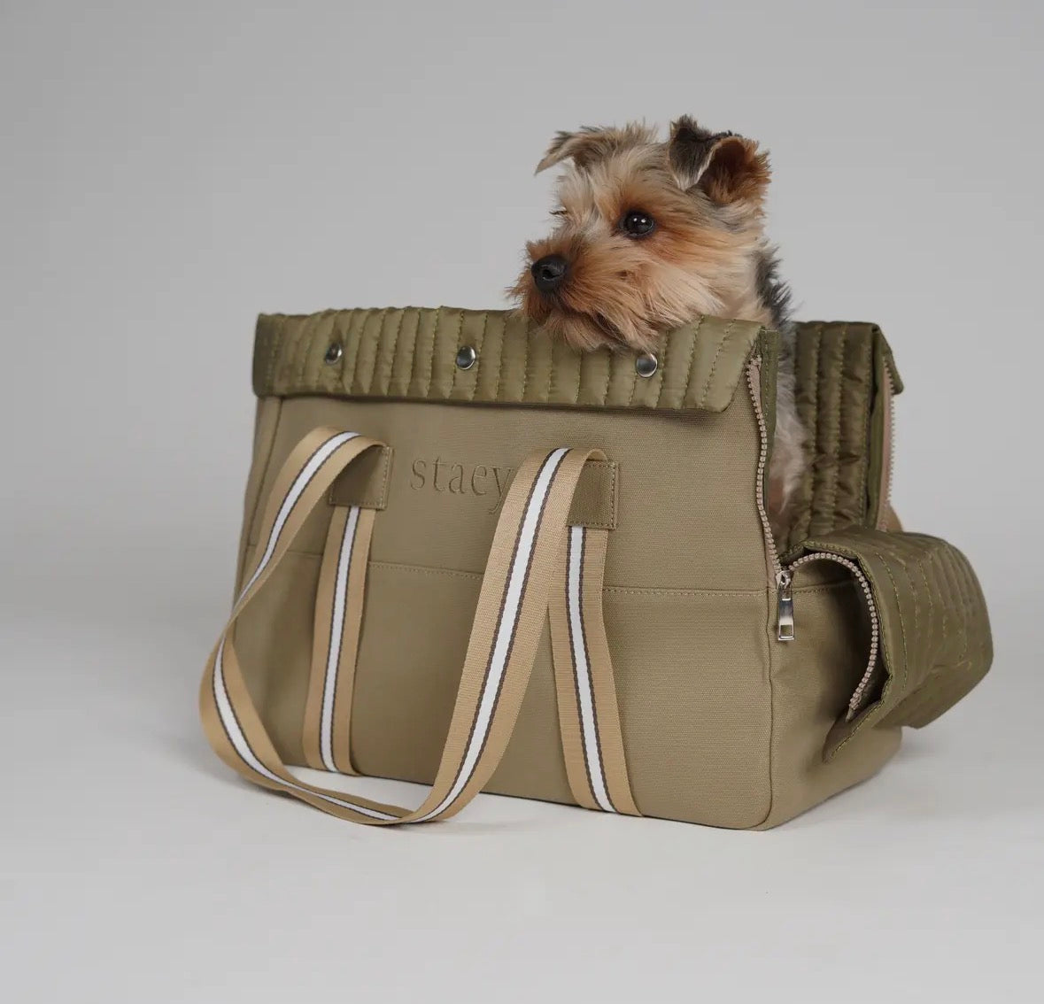 Sac transport chien